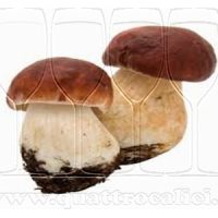 Fungo di Borgotaro IGP