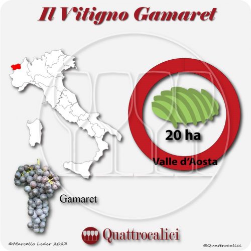 Il Vitigno Gamaret e la sua coltivazione in Italia