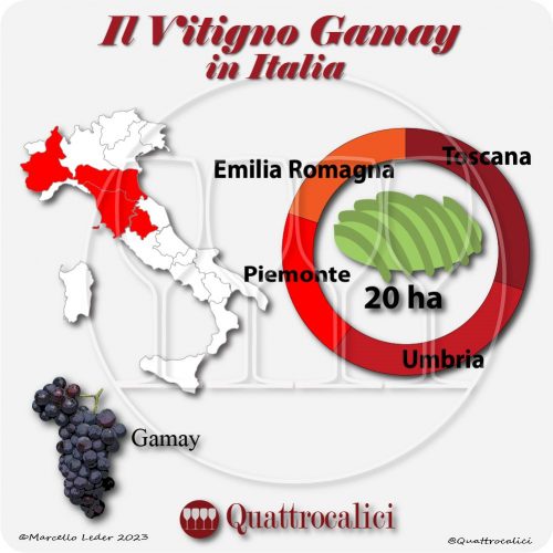 Il gamay in Italia