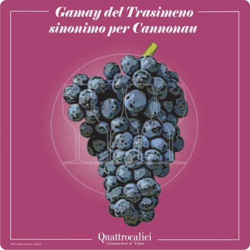 Vitigno  Gamay del Trasimeno