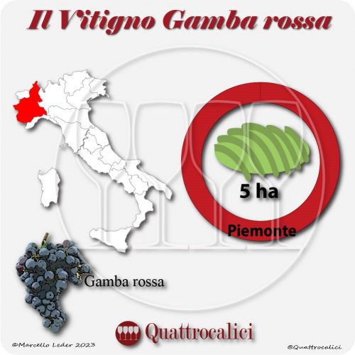 Il Vitigno Gamba rossa e la sua coltivazione in Italia