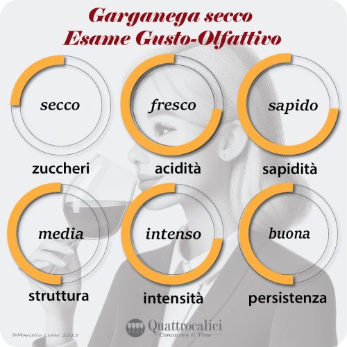 L'esame gusto-olfattivo dei vini Garganega