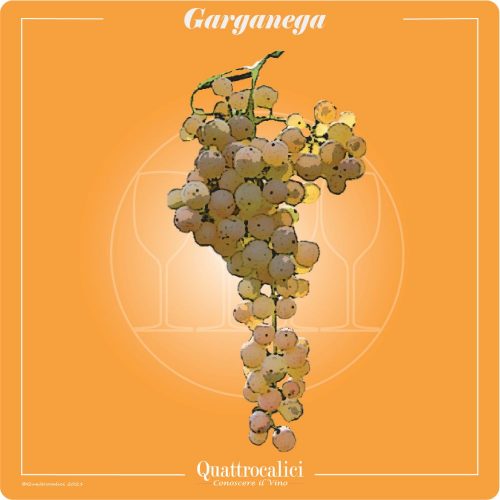 Garganega discount