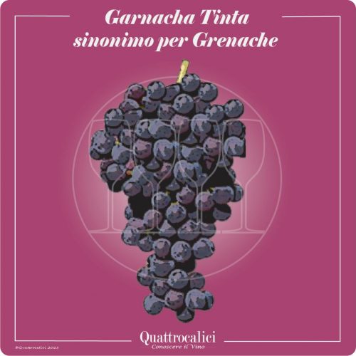 Vitigno  Garnacha tinta