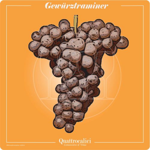 Vitigno  Gewürztraminer