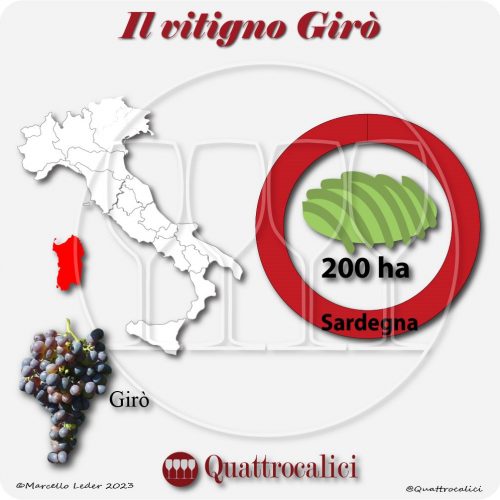 Il Vitigno Girò e la sua coltivazione in Italia