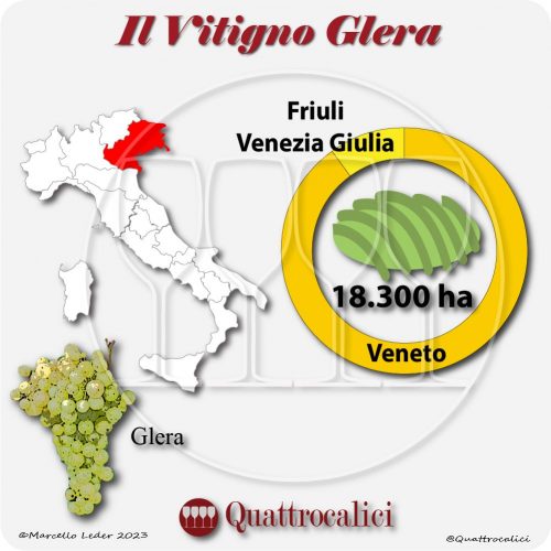 Il Vitigno Glera e la sua coltivazione in Italia