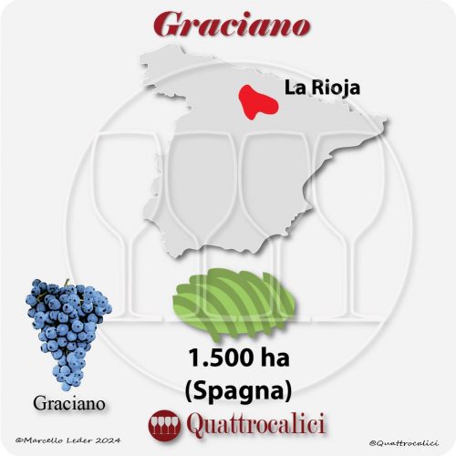 Il vitigno Graciano in Spagna