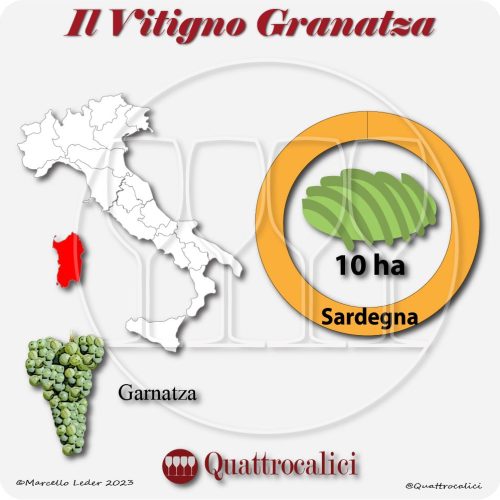 Il vitigno granatza, autoctono sardo, e i suoi vini