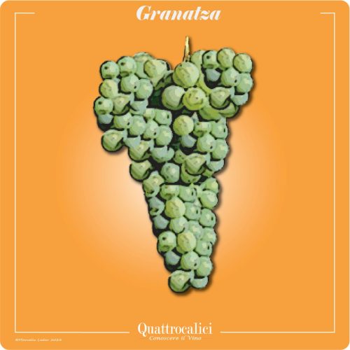 Il Vitigno Granatza e i suoi vini