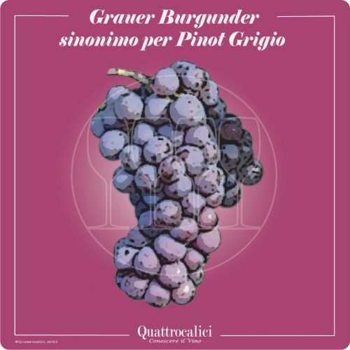 Vitigno  Grauer Burgunder