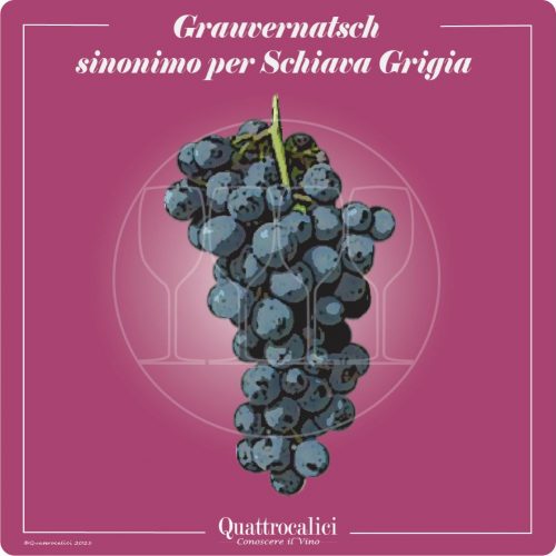 Vitigno  Grauvernatsch