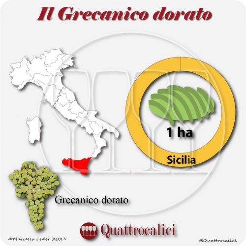 Il Vitigno Grecanico dorato e la sua coltivazione in Italia