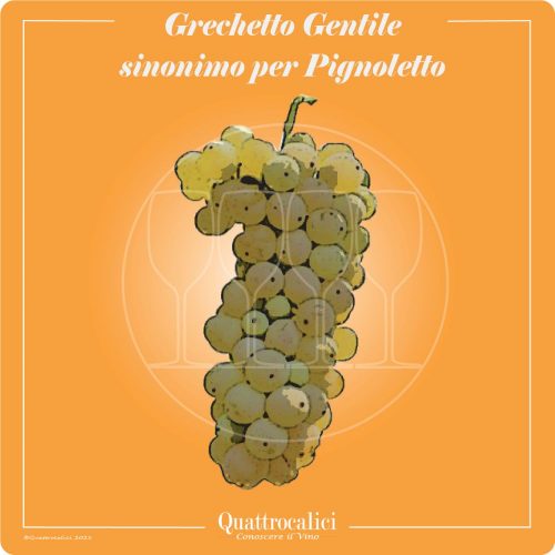 Vitigno  Grechetto gentile