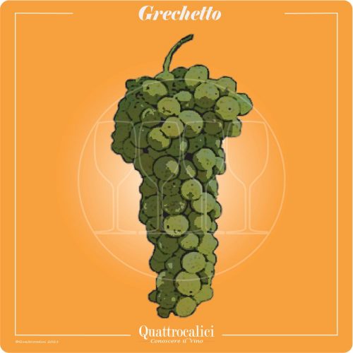 Vitigno  Grechetto