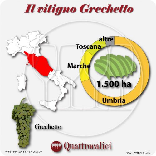 Il Vitigno Grechetto e la sua coltivazione in Italia