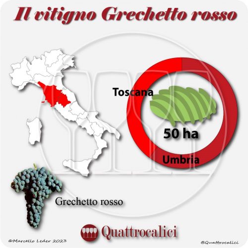 Il Vitigno Grechetto rosso e la sua coltivazione in Italia