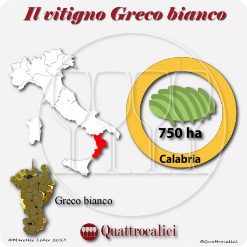 Il Vitigno Greco Bianco e la sua coltivazione in Italia