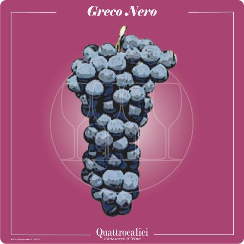 Vitigno  Greco Nero