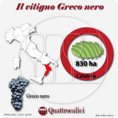 Il Vitigno Greco Nero e la sua coltivazione in Italia