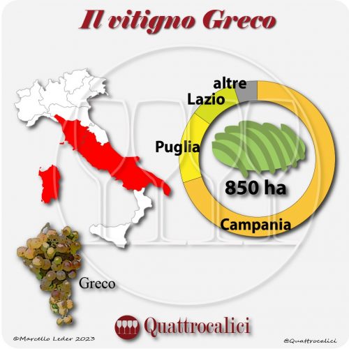 Il Vitigno Greco e la sua coltivazione in Italia