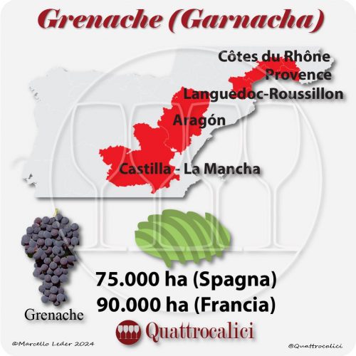 La Grenache in Francia e Spagna