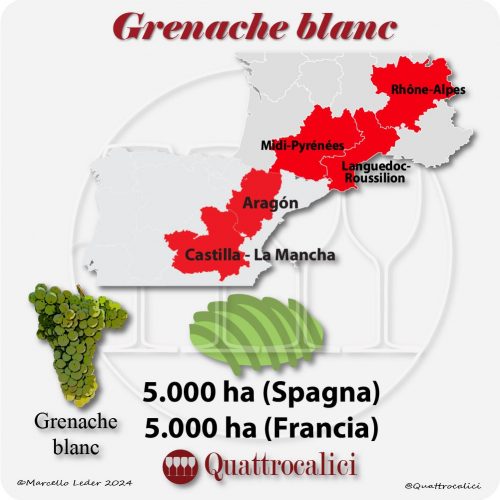La Grenache blanc in Francia e in Spagna