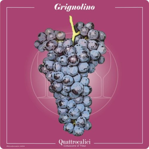 Vitigno  Grignolino