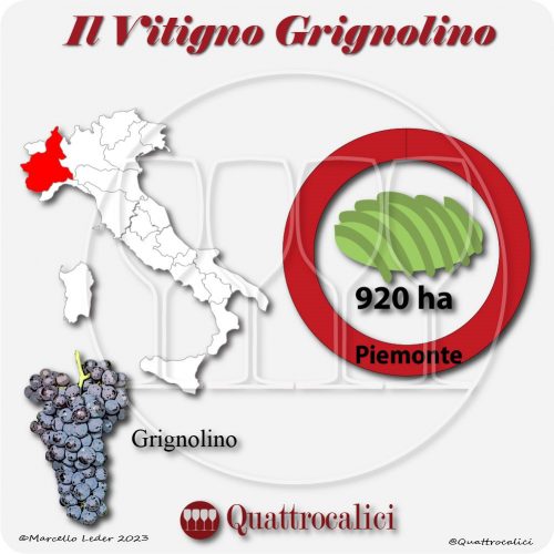 Il Vitigno Grignolino e la sua coltivazione in Italia