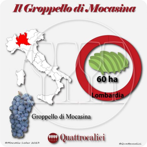 Il Vitigno Groppello di Mocasina e la sua coltivazione in Italia
