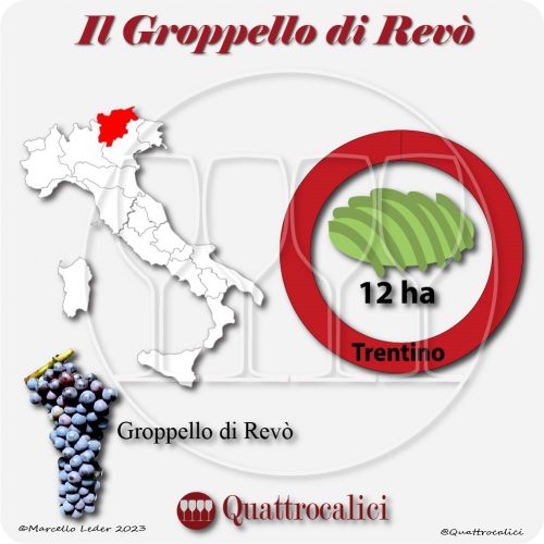 Il Vitigno Groppello di Revò e la sua coltivazione in Italia