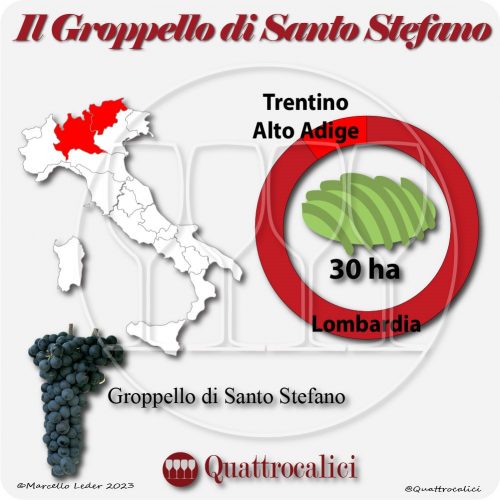 Il Vitigno Groppello di Santo Stefano e la sua coltivazione in Italia