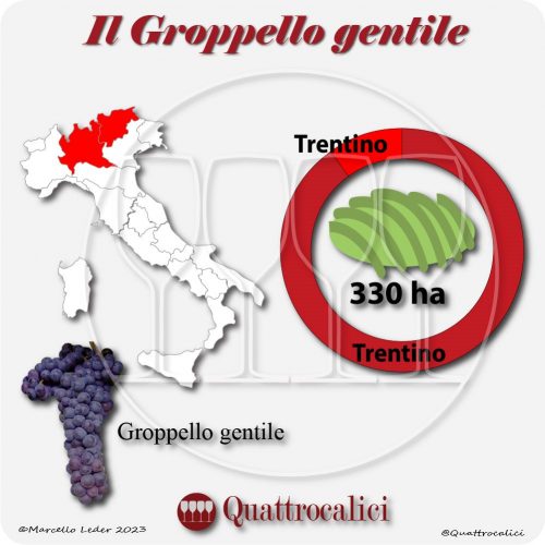 Il Vitigno Groppello Gentile e la sua coltivazione in Italia