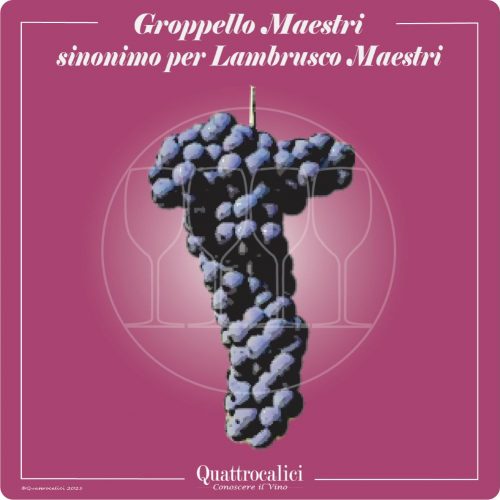 Vitigno  Groppello Maestri