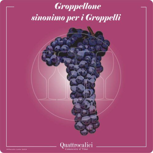 Vitigno  Groppellone