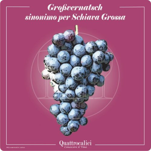 Vitigno  Großvernatsch