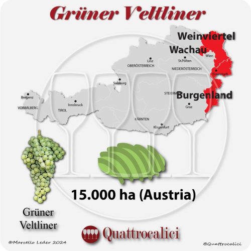 il grüner veltliner in Austria