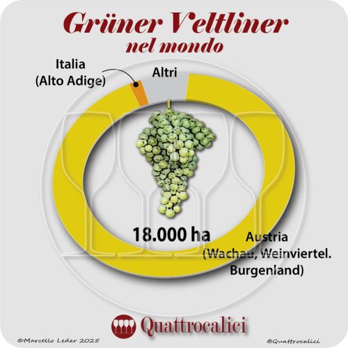 Il Grüner Veltliner nel mondo
