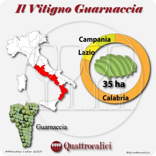 Il Vitigno Guarnaccia e la sua coltivazione in Italia