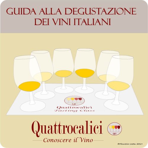 Guida alla degustazione dei vini italiani