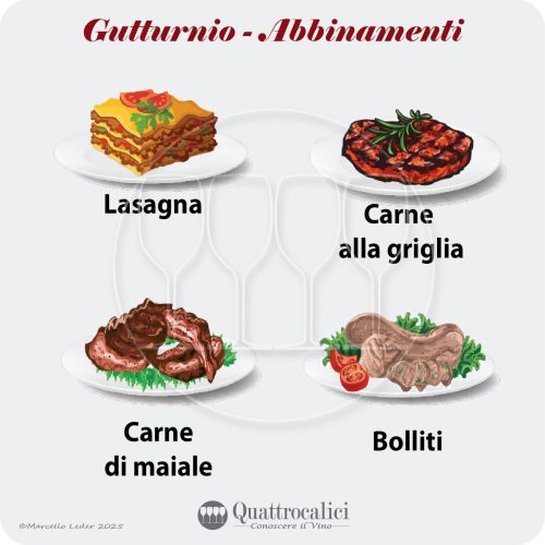 Gli abbinamenti al vino dei vini Gutturnio