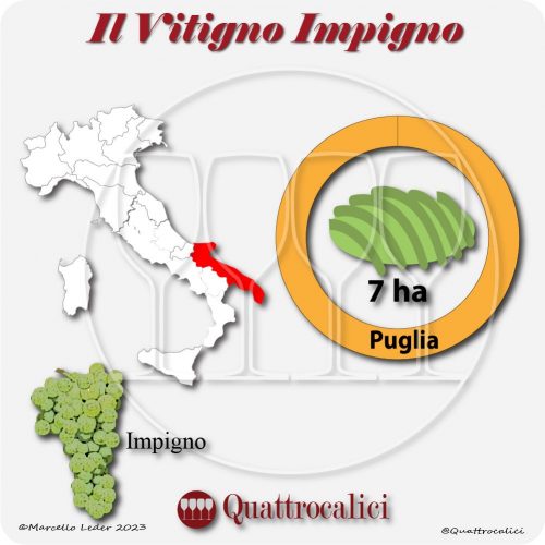 Il Vitigno Impigno e la sua coltivazione in Italia