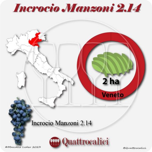 Il Vitigno Incrocio Manzoni 2-14 e la sua coltivazione in Italia