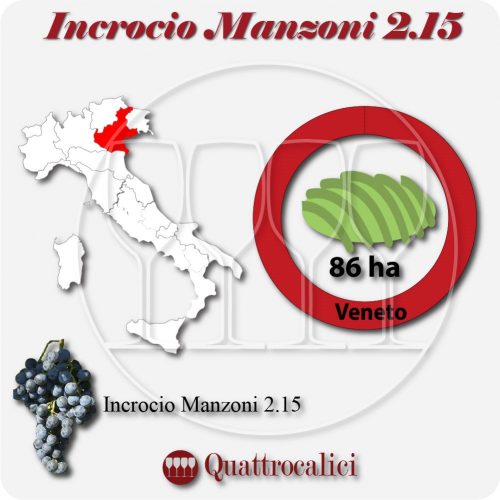 Il Vitigno Incrocio Manzoni 2-15 e la sua coltivazione in Italia