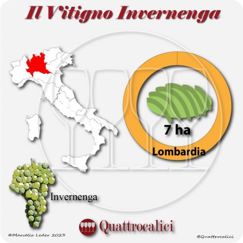 Il Vitigno Invernenga e la sua coltivazione in Italia