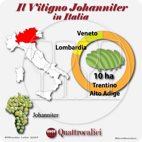 Il vitigno Johanniter in Italia
