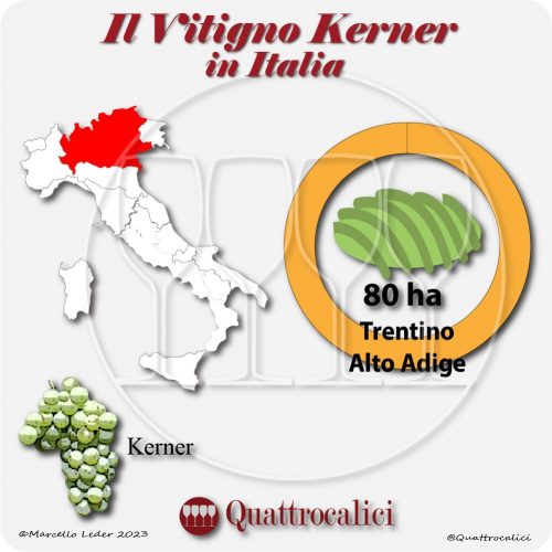 Il vitigno Kerner in Italia