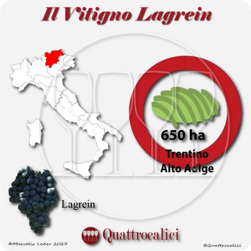 Il Vitigno Lagrein e la sua coltivazione in Italia
