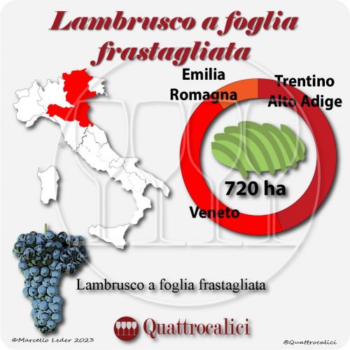 Il Vitigno Lambrusco a foglia frastagliata e la sua coltivazione in Italia