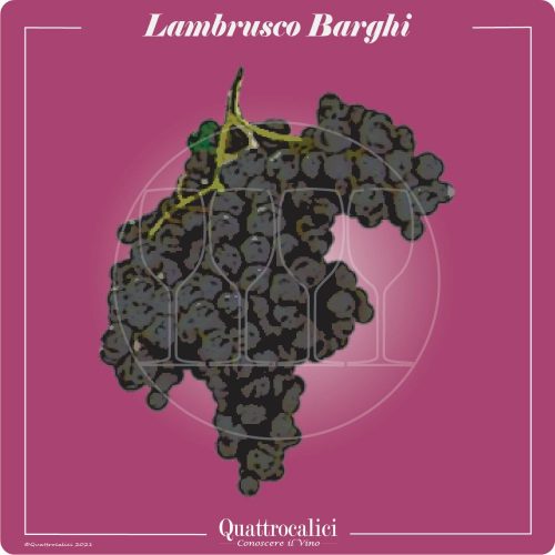 Vitigno  Lambrusco Barghi